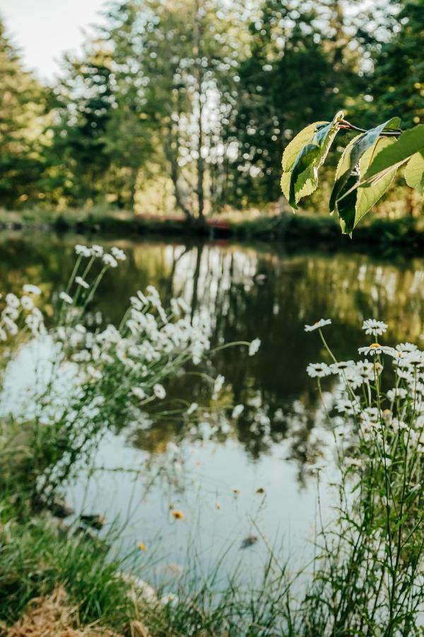Healing Ponds Farm Villa Buxton Luaran gambar